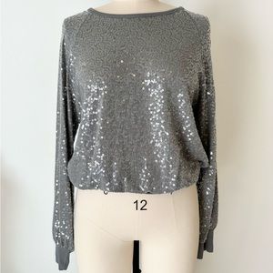 Express Sequin Raglan Sweater